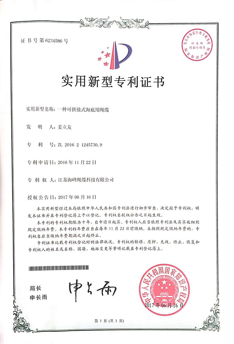 19專(zhuān)利-1