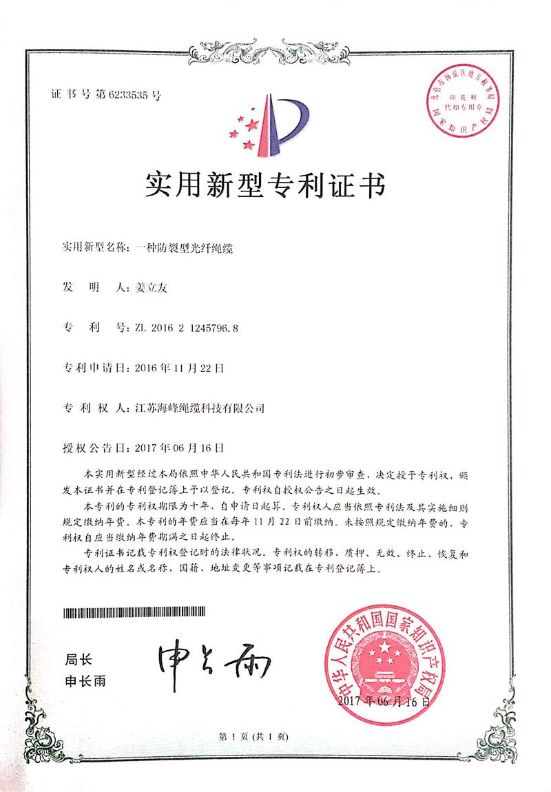19專(zhuān)利-4