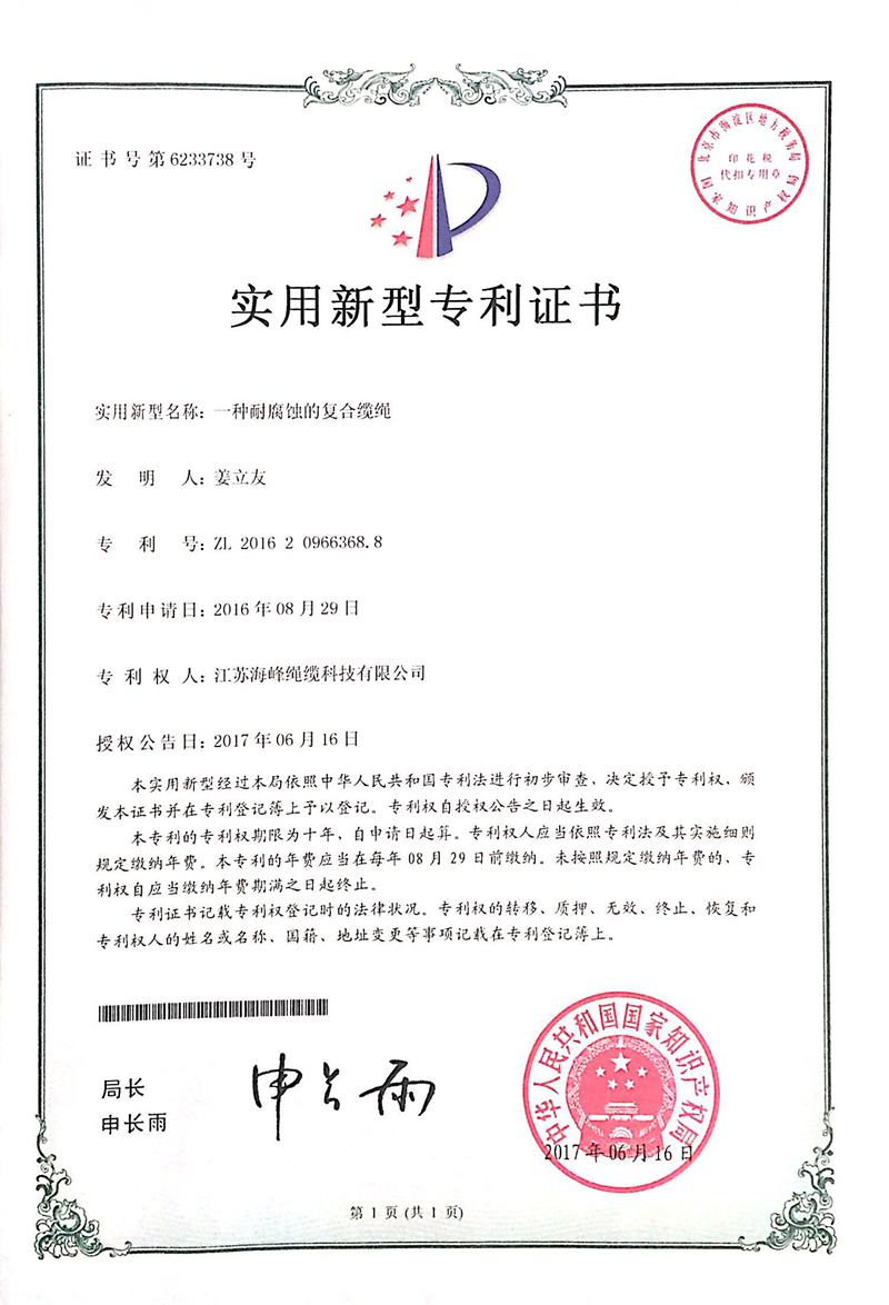 19專(zhuān)利-6